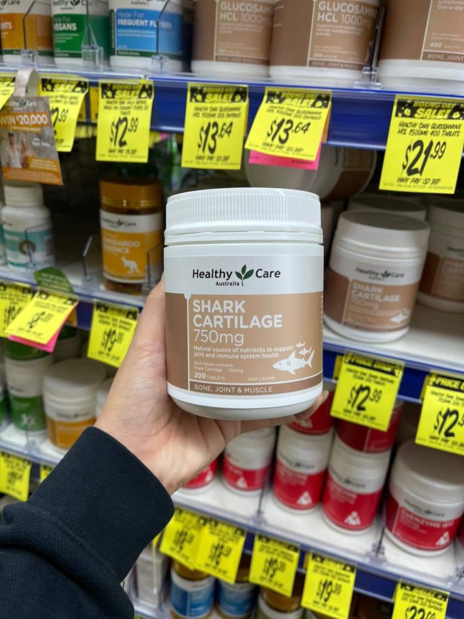 Viên uống sụn cá mập Healthy Care Shark Cartilage 750mg 200 viên